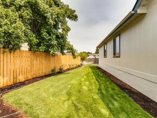 A backyard with grass and a wooden fence.